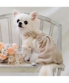 PET PARADISE ペットパラダイス ニット風パンツつなぎ 小型犬