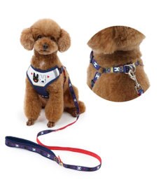 PET PARADISE リサとガスパール ハーネス＆リード Ｓ 《ハート柄》 小型犬