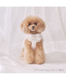 PET PARADISE cherircouture フリフリハーネス 《ホワイト》 小型犬 ４Ｓ/３Ｓ