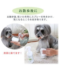 PET PARADISE ペット 消臭スプレー エチケットウォーターｎ（ネイチャー） 詰替用 250mL