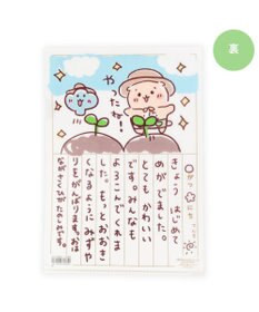 Mother garden しろたん クリアファイル 2枚セット 《らっこいぬの観察日記/ らっこいぬガーデン》