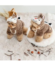 PET PARADISE ディズニー チップとデール デールなりきり パーカー 小型犬