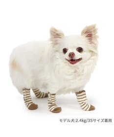 PET PARADISE ペットパラダイス makokoro スリット 靴下 《ボーダー》  Ｓ 小型犬