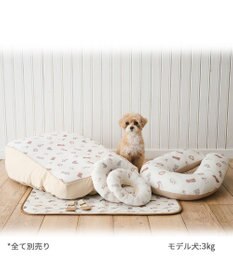 PET PARADISE ペットパラダイス makokoro スリット 靴下 《ボーダー》  Ｓ 小型犬