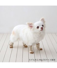 PET PARADISE ペットパラダイス makokoro スリット 靴下 《ボーダー》  Ｓ 小型犬