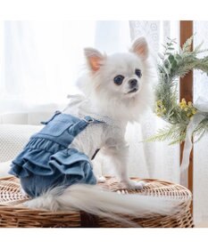 PET PARADISE ペットパラダイス レース襟 パンツつなぎ 小型犬　