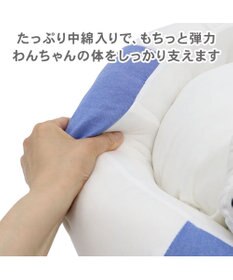 PET PARADISE ディズニー ドナルドダック 浮き輪 カドラー Ｍ