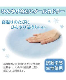 PET PARADISE ペットパラダイス クールカドラー 角型《いちご＆お花柄》 小型犬