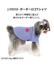 PET PARADISE 犬の服 犬 冬服 tシャツ J.PRESS【小型犬】 ボーダー ロゴ