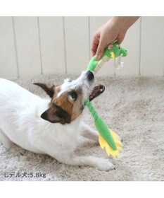 PET PARADISE ロープトイ 干支おもちゃ 辰