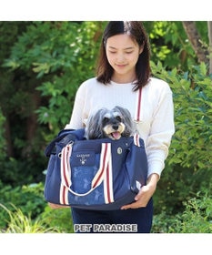 PET PARADISE リサとガスパール キャリーバッグ  であい柄 小型犬