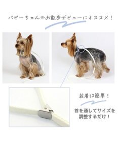 PET PARADISE 犬 首輪 リード付き 【４Ｓ~ＳＳ】 くまちゃん