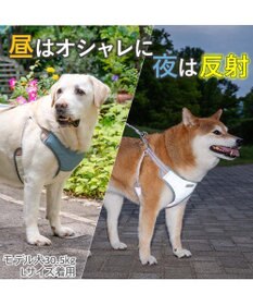 PET PARADISE ペットパラダイス 超反射 切り替え ハーネス＆リード Ｍ 《ブルーグリーン》