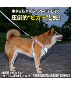 PET PARADISE ペットパラダイス 超反射 切り替え ハーネス＆リード Ｍ 《ブルーグリーン》