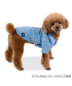 PET PARADISE J.PRESS 杢 ウェーブシャツ 《水色》 小型犬