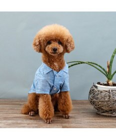 PET PARADISE J.PRESS 杢 ウェーブシャツ 《水色》 小型犬