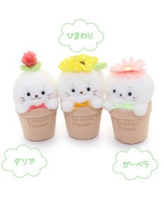 Mother garden しろたん フラワー マスコット8.5cm　《ダリア / ひまわり / ガーベラ 》 単品