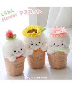 Mother garden しろたん フラワー マスコット8.5cm　《ダリア / ひまわり / ガーベラ 》 単品