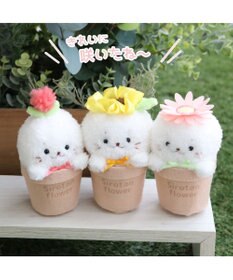 Mother garden しろたん フラワー マスコット8.5cm　《ダリア / ひまわり / ガーベラ 》 単品