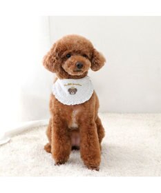 PET PARADISE ペットパラダイス くまちゃんスタイ 《王冠 》 小型犬