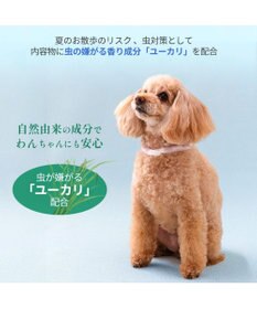 PET PARADISE ペットパラダイス 28℃クールリング  《くま》 ＳＭ 中型犬