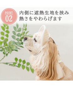 PET PARADISE ペットパラダイス レース クール ハット ＳＭ～Ｍ/Ｌ 中型犬 大型犬
