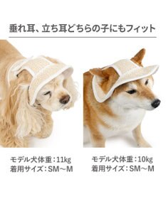 PET PARADISE ペットパラダイス レース クール ハット ＳＭ～Ｍ/Ｌ 中型犬 大型犬
