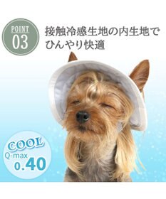 PET PARADISE ペットパラダイス アウトドア クール ハット ４Ｓ～３Ｓ/ＳＳ～Ｓ 小型犬