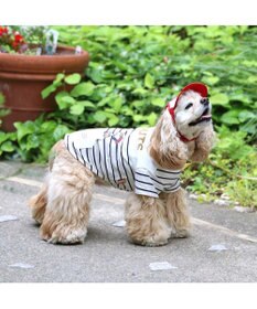 PET PARADISE スヌーピー お揃い 野球柄Ｔシャツ 【中型犬】【大型犬】《ネイビー／ホワイト》