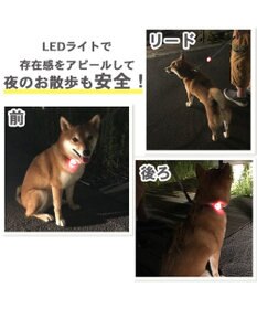 PET PARADISE スヌーピー ＬＥＤ お散歩ライト