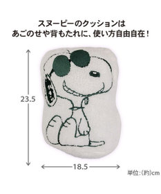PET PARADISE 【8月中旬お届け予定】スヌーピー マイカーカドラー （71×47cm） Ｍ 小型犬