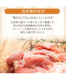 PET PARADISE ペットパラダイス 国産 ドッグフード ビオキッチン 1kg