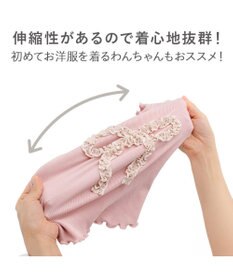 PET PARADISE ペットパラダイス リボン プレミアム ペティヒート Ｔシャツ 超小型犬 小型犬