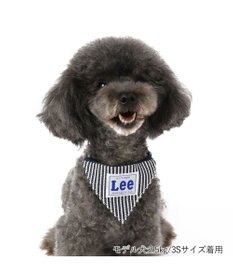 PET PARADISE Ｌｅｅ ヒッコリー 両面バンダナ付き 首輪【３Ｓ】