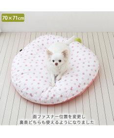 PET PARADISE ネット店限定 ペットパラダイス 春いちご クッション  M