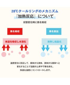 PET PARADISE クールリング 犬 クールネック ひんやり 28℃クールリング 【３Ｓ】 リフレクター 水色 ベージュ  反射材付き