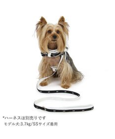PET PARADISE  Ｌｅｅ 白テープ リード  小型犬 ＳＳ~Ｓ