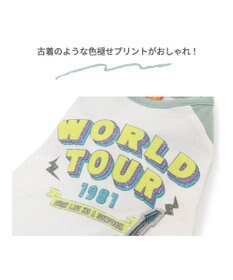 PET PARADISE ペットパラダイス Tシャツ 《バンド柄》【小型犬】