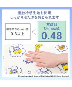 PET PARADISE ミニオン もちっと クール マット