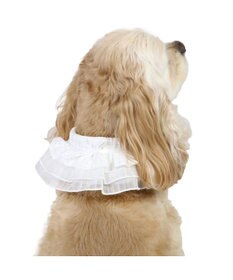 PET PARADISE ペットパラダイス クールバンダナ 《フリル》 中型犬