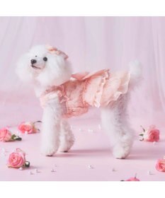 PET PARADISE cherircouture メニーローズ ワンピース ピンク 小型犬