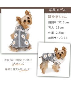 PET PARADISE ペットパラダイス アウターハーネス 《お花》 小型犬