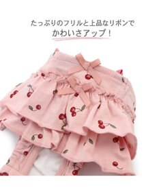 PET PARADISE 犬の服 犬 サニタリーパンツ 【小型犬】 チェリー柄