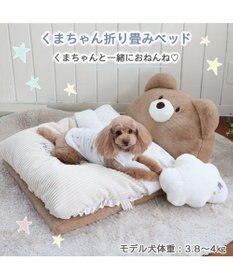 PET PARADISE くま折りたたみ ベッド (55×72cm)