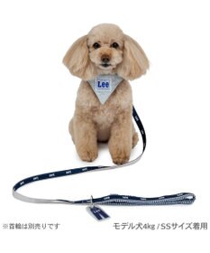 PET PARADISE Lee リフレクターリード ＳＳ～Ｓ