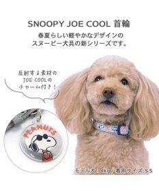 PET PARADISE スヌーピー ジョークール 反射 お揃い 首輪 【ＳＳ】