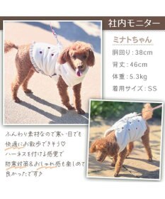 PET PARADISE Lee アウターハーネス 《牛柄》 小型犬