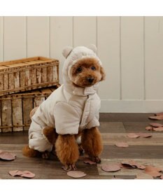 PET PARADISE ペットパラダイス くまちゃん 遠赤外線  綿入れ オール 小型犬