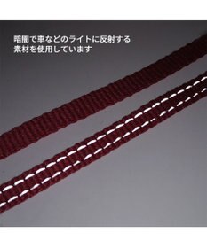 PET PARADISE ペットパラダイス ハーネス＆リード  スカラップカラー《いちご柄 》 ＳＳ 小型犬