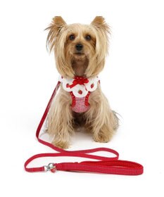 PET PARADISE ペットパラダイス ハーネス＆リード  スカラップカラー《いちご柄 》 ＳＳ 小型犬